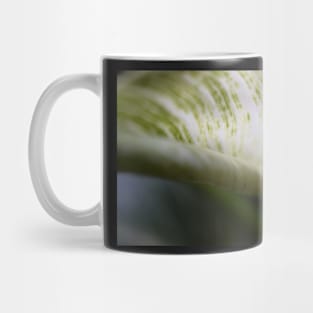 Curled Foliage leaf Mug